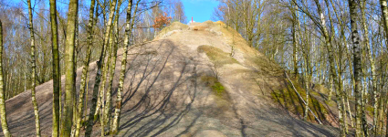 Mountain biking in de Schorre