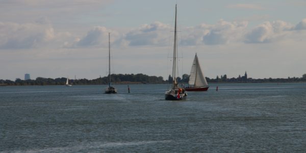 Sail ships on Zuiderzee