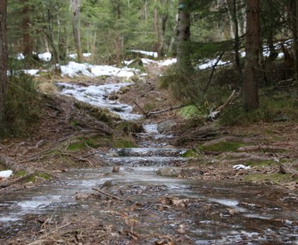 Ice patches cause beautiful looks on the trail but make it slippery as well.