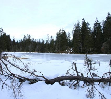 At this time of the year, during the hike, you encounter frozen lakes.