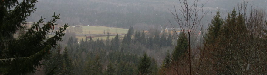 Snow starts falling while the trees offer a glimp over a part of SÃ¸rkedalen.