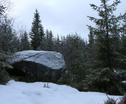 Hiking deep into Nordmarka - Who put this stone there?