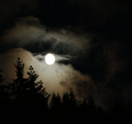 Hiking deep into Nordmarka - Moonlight